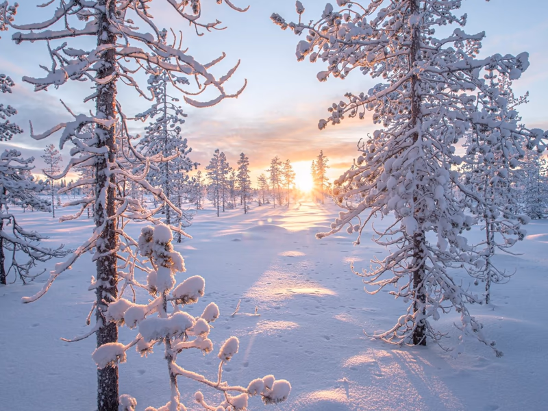 Lapland Holiday  - Magical Adventure for 2 - 30th October