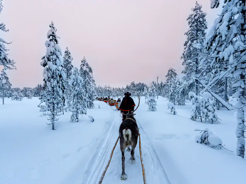 Lapland Holiday  - Magical Adventure for 2 - 30th October