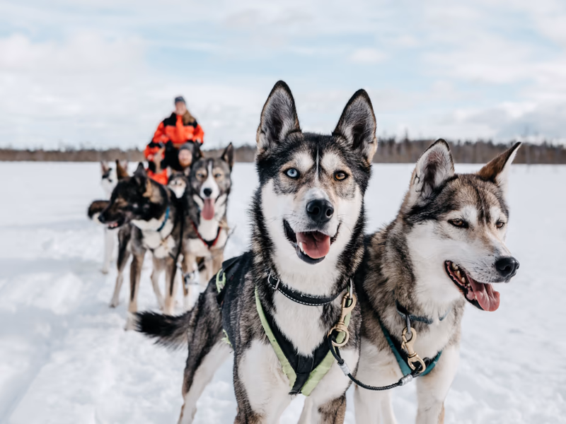 Lapland Holiday  - Magical Adventure for 2 - 30th October