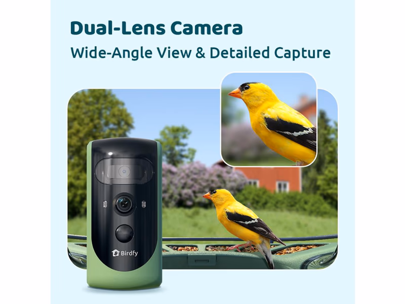 Birdfy Feeder 2 Pro Smart Camera Bird Feeder with Solar Panel - Auto Draw - 29th April