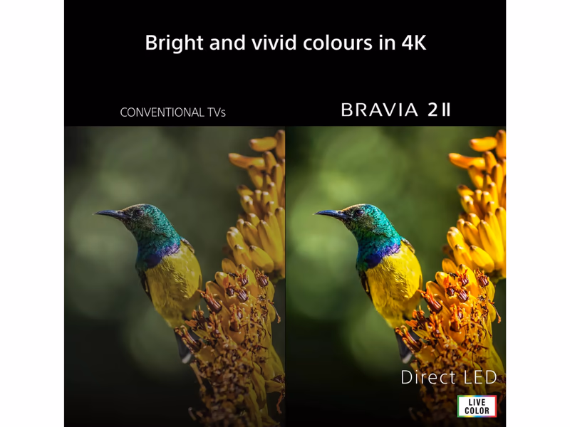 Sony Bravia 2 II K50S25M2PB (2026) LED HDR 4K Ultra HD Smart Google TV, 50 inch with Dolby Atmos - Auto Draw - 29th October