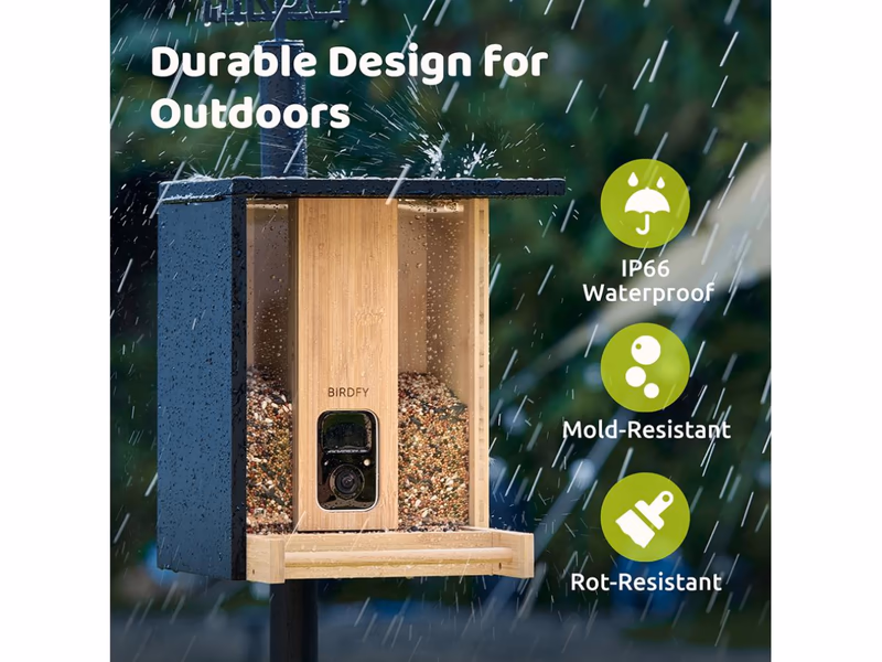 Birdfy Smart Camera Bird Feeder with Solar Roof - Bamboo - Auto Draw - 21st May